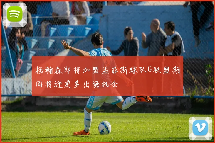杨瀚森即将加盟孟菲斯球队G联盟期间将迎更多出场机会