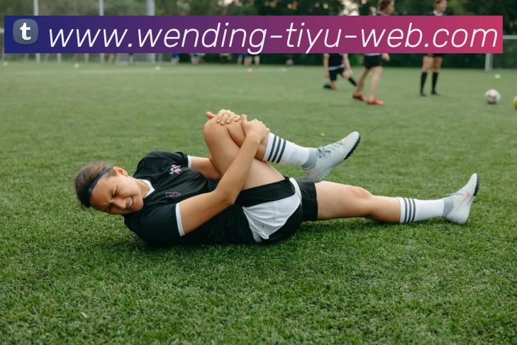 问鼎娱乐平台生态图